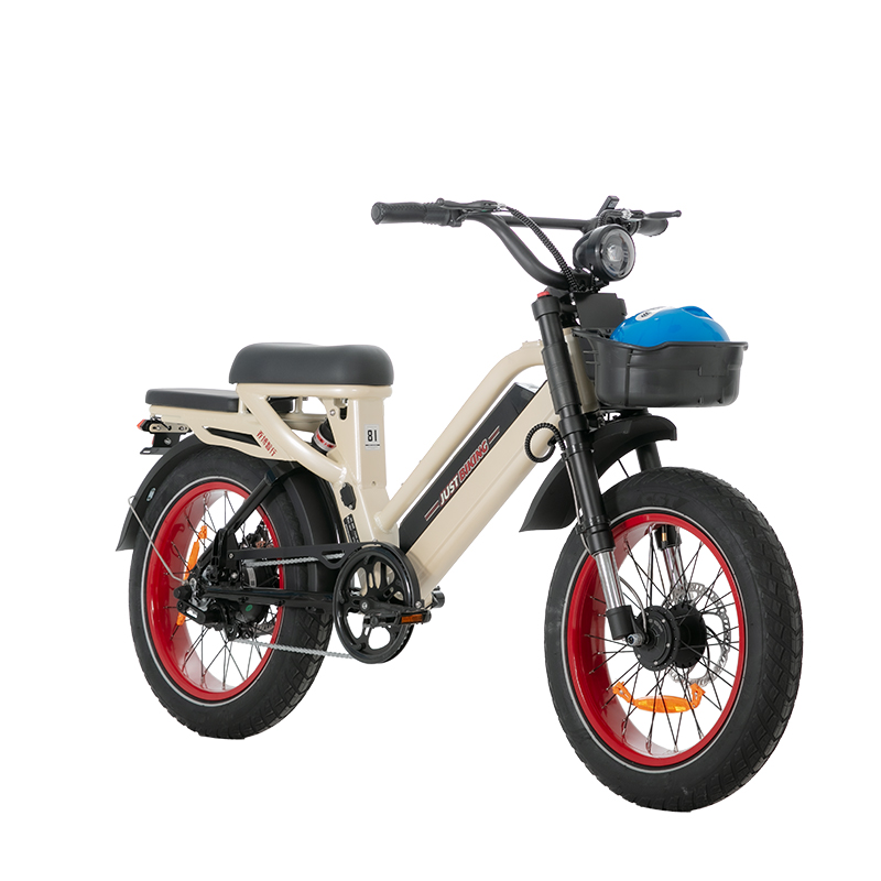 Smart Shared E-Bike Smart Shared E-Bike