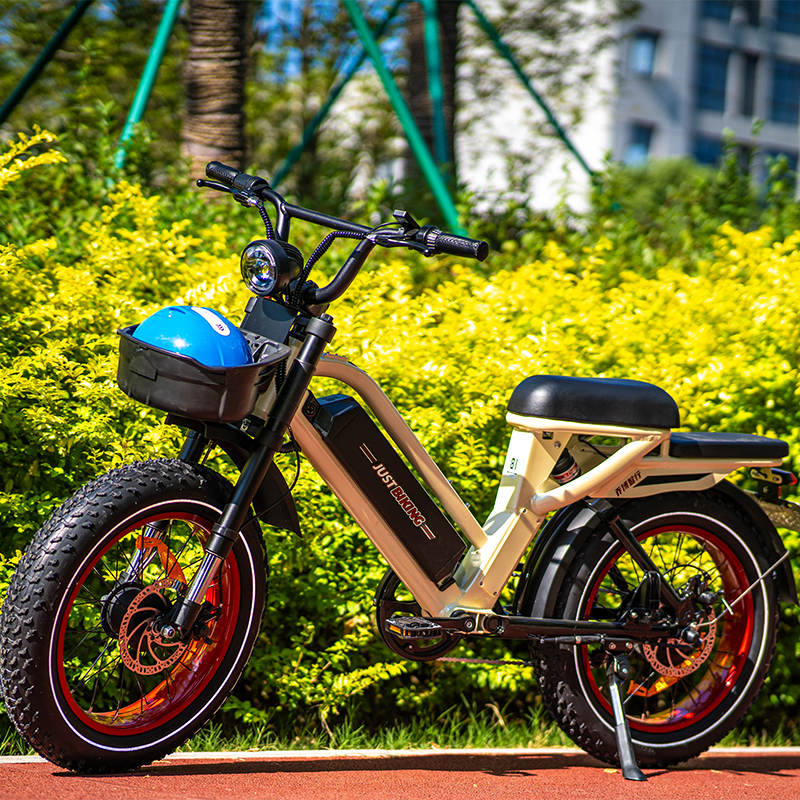 Smart Shared E-Bike Smart Shared E-Bike