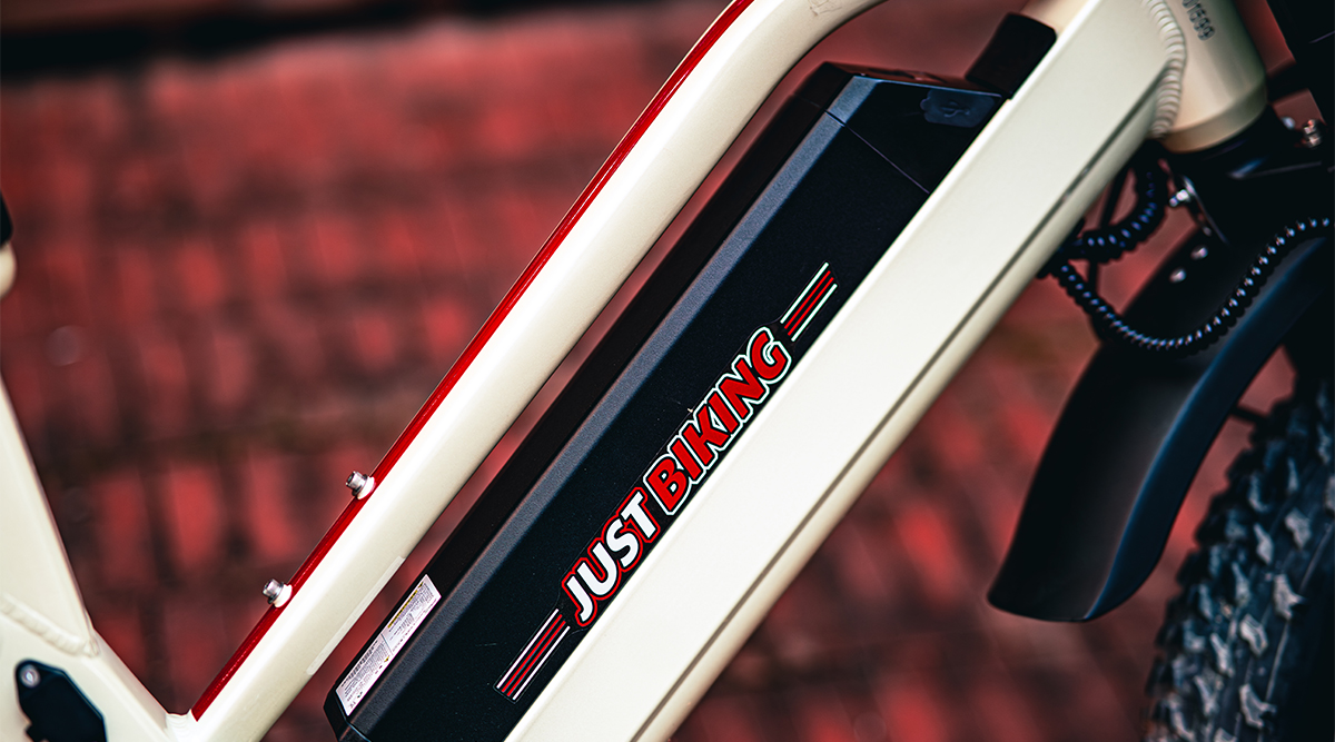 Why Choose This eBike