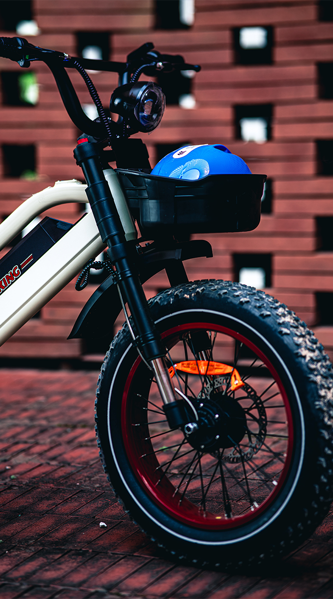 Why Choose This eBike