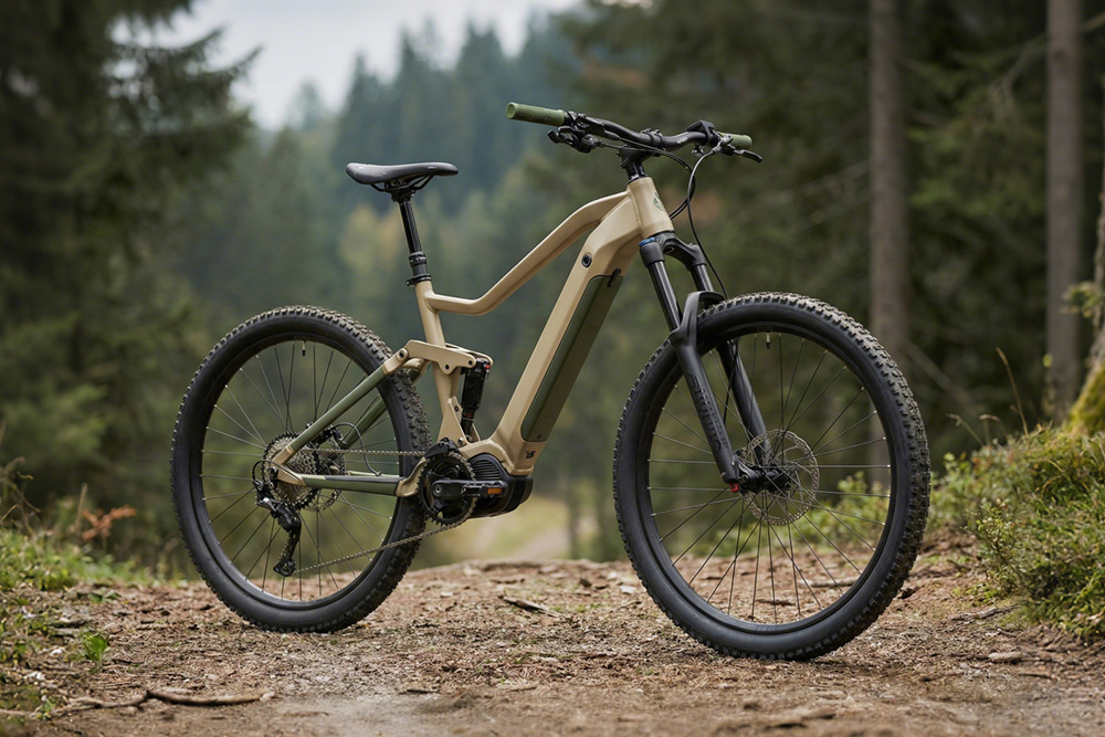 Why Choose This eBike