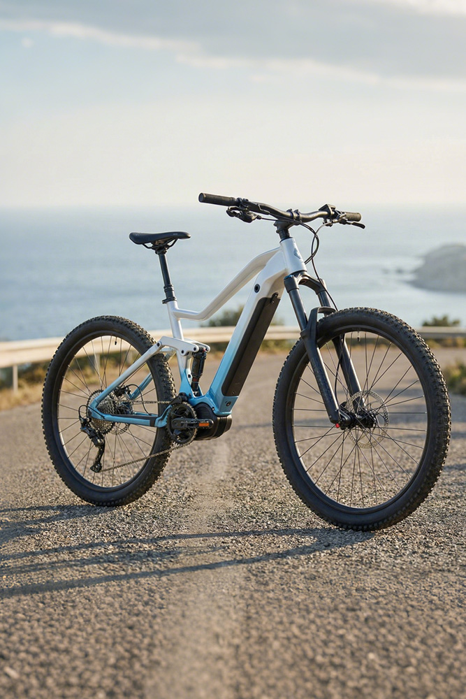 Why Choose This eBike