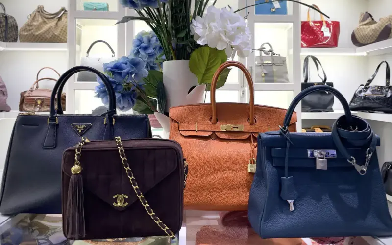 bag types_Handbag xinzirain.webp