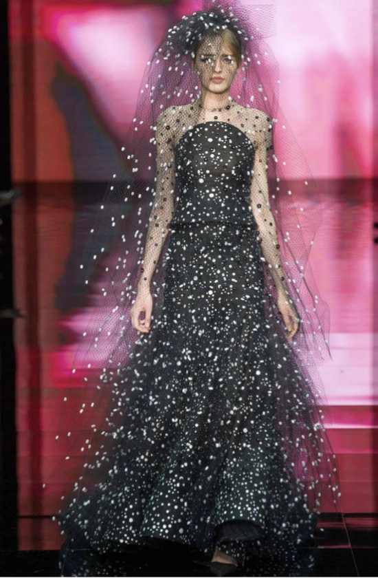 Armani Privé Fall 2014 Haute Couture23.webp