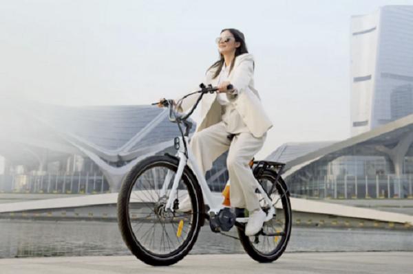 compact electric bike supplier