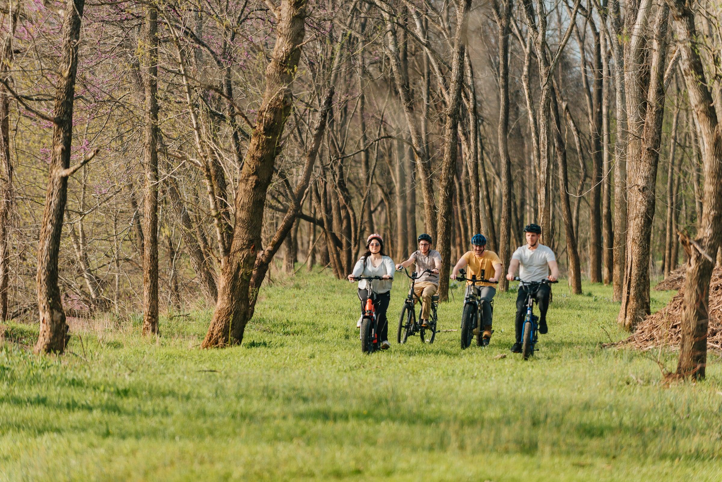 electric mountain bike manufacturer