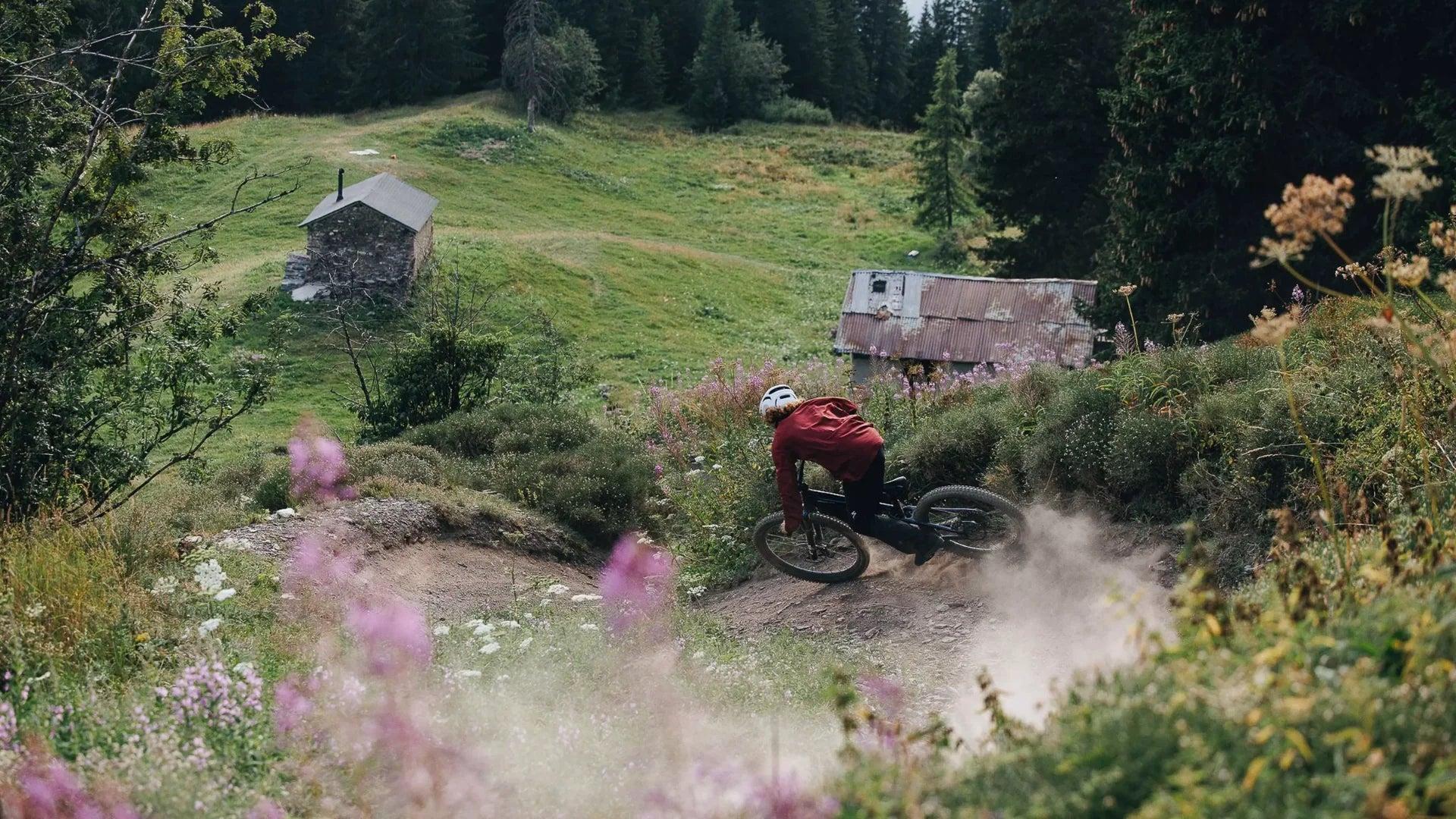 e-MTB supplier