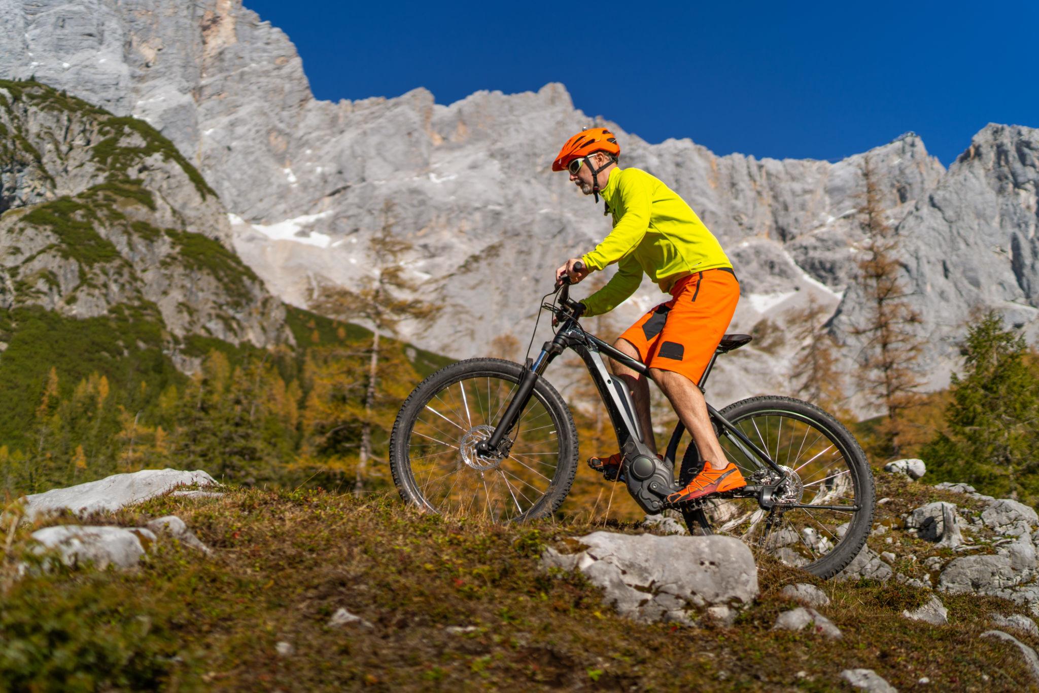electric mountain bike OEM