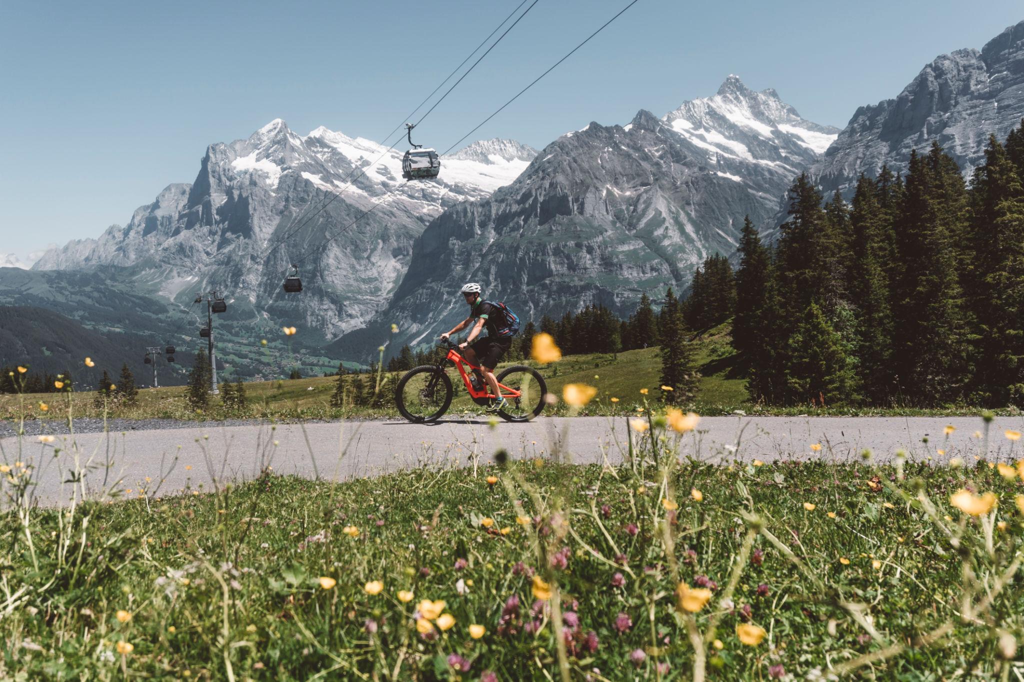 electric mountain bike OEM