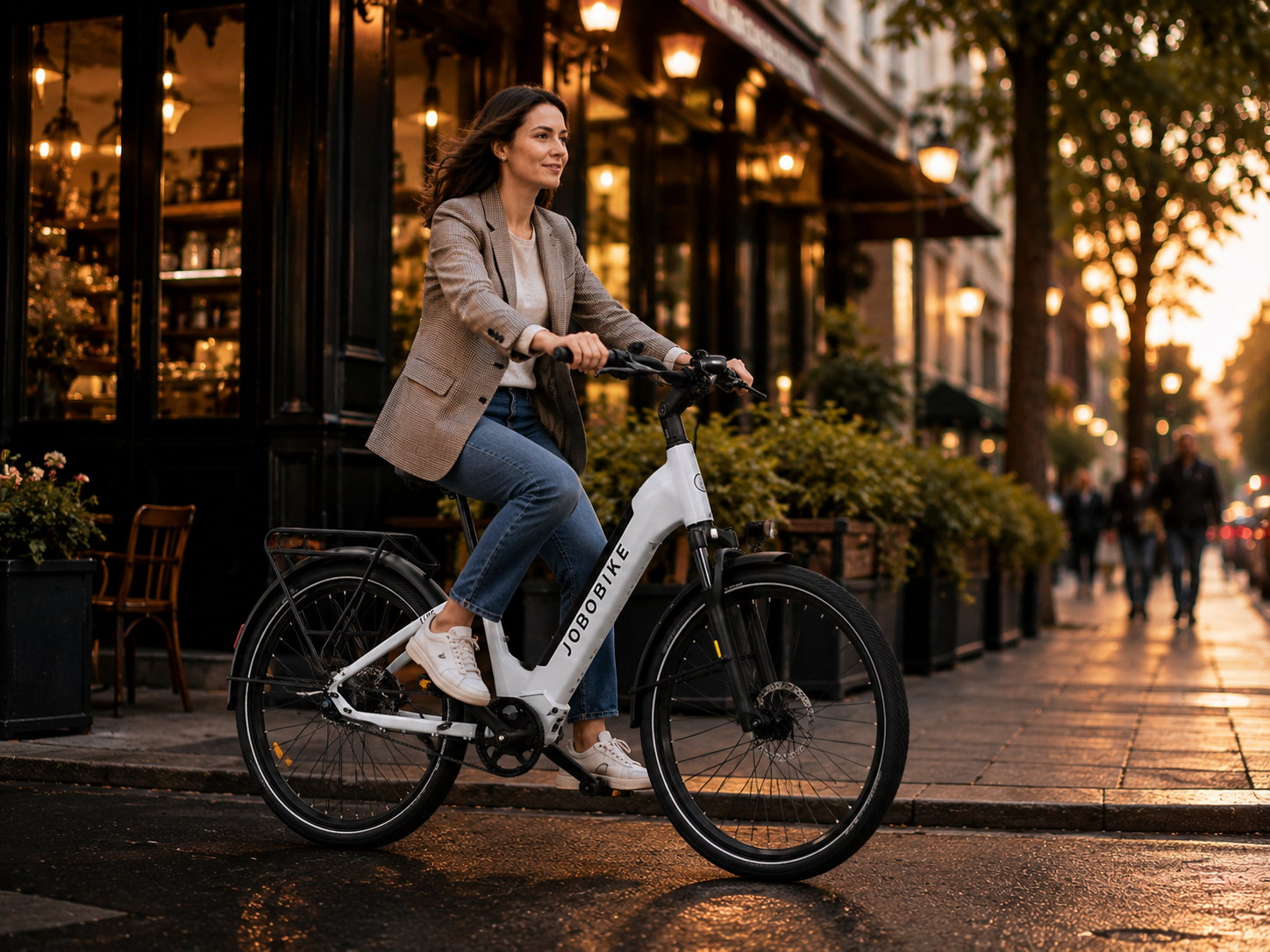 urban electric bicycle factory