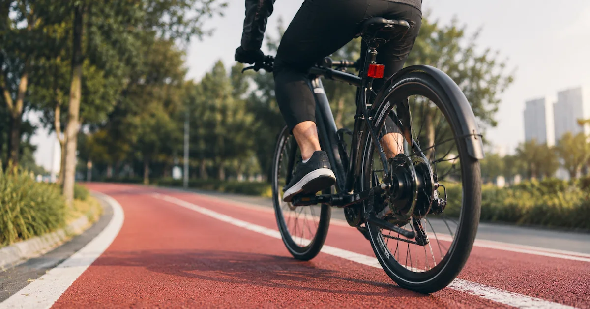 electric bicycle OEM development